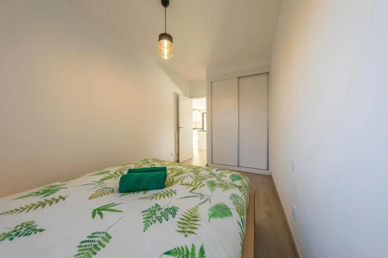 Medano4You The Strelitzia Terrace El Medano  Apartment
